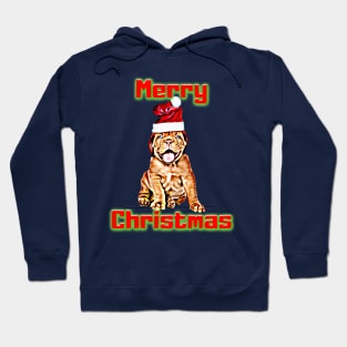 Dog Lovers christmas gift, christmas decorations, christmas ornaments design Hoodie